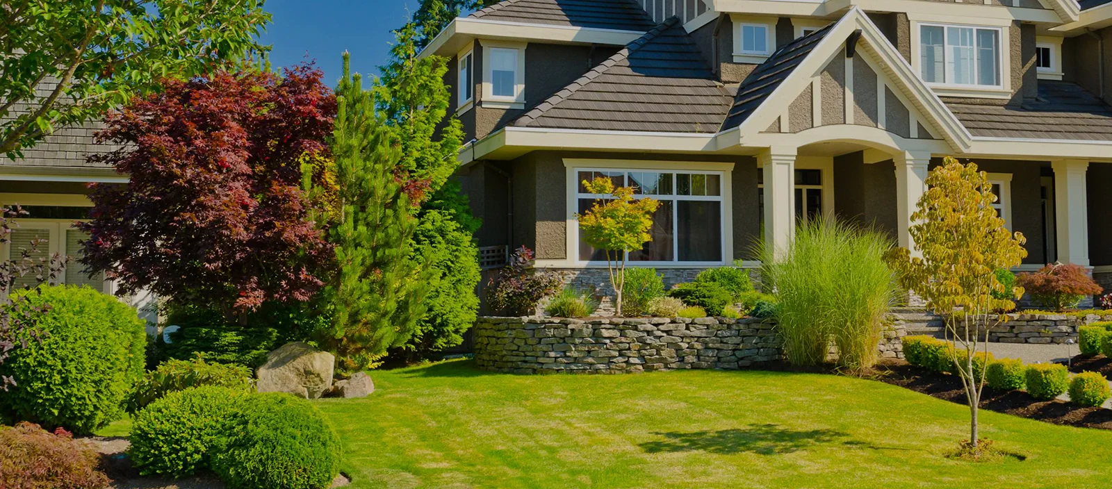 We Turn Your Vision into Reality 