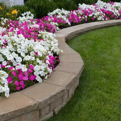 Our Works