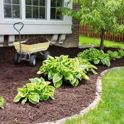 Our Works