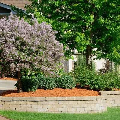 Our Works