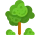 Tree & Shrub Services